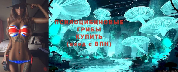 шишки Балабаново
