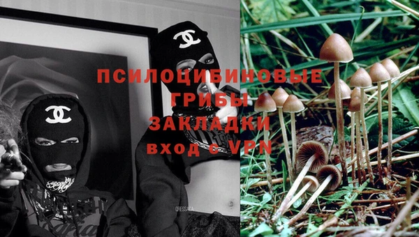 мдпв Армянск