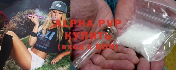 шишки Балабаново