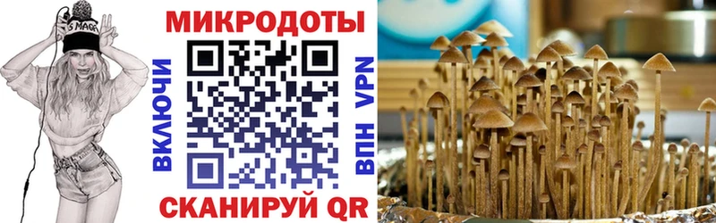 Псилоцибиновые грибы Psilocybine cubensis  купить наркоту  площадка телеграм  Обоянь  MEGA как зайти 